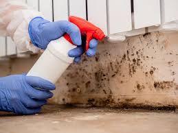 Trusted Glandorf, OH Mold Removal & Remediation Experts